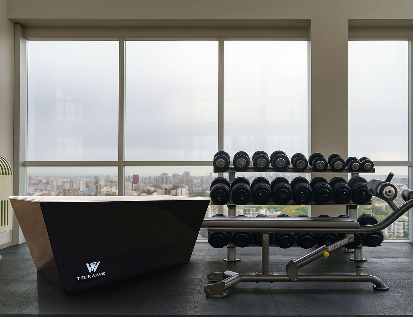 Modern gym interior featuring a sleek TechWav ice bath and dumbbells against a city skyline.