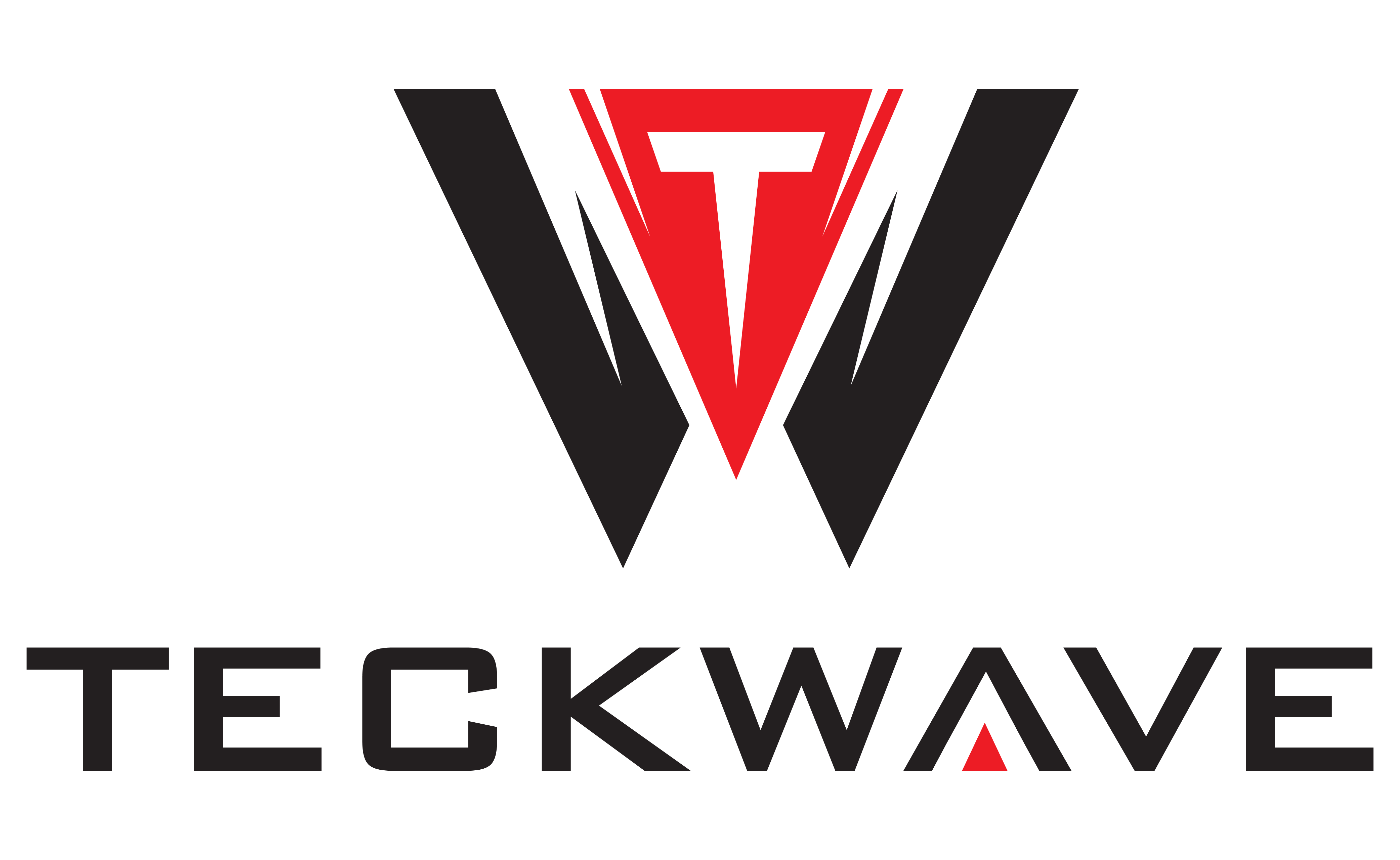 TECKWAVE logo